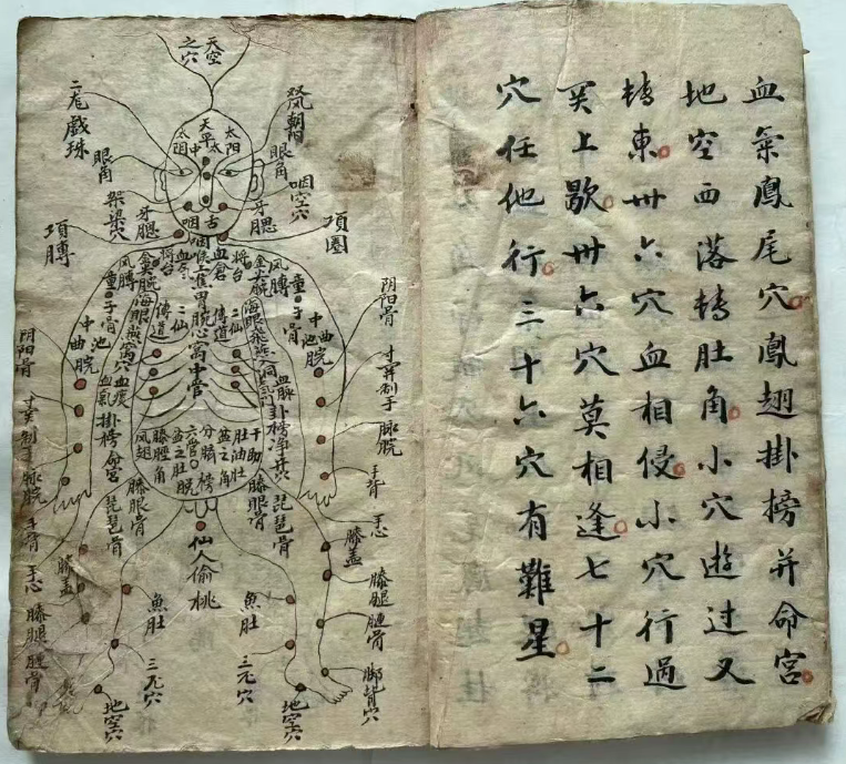中医跌打古籍《五百钱点解穴秘传 》(图5)